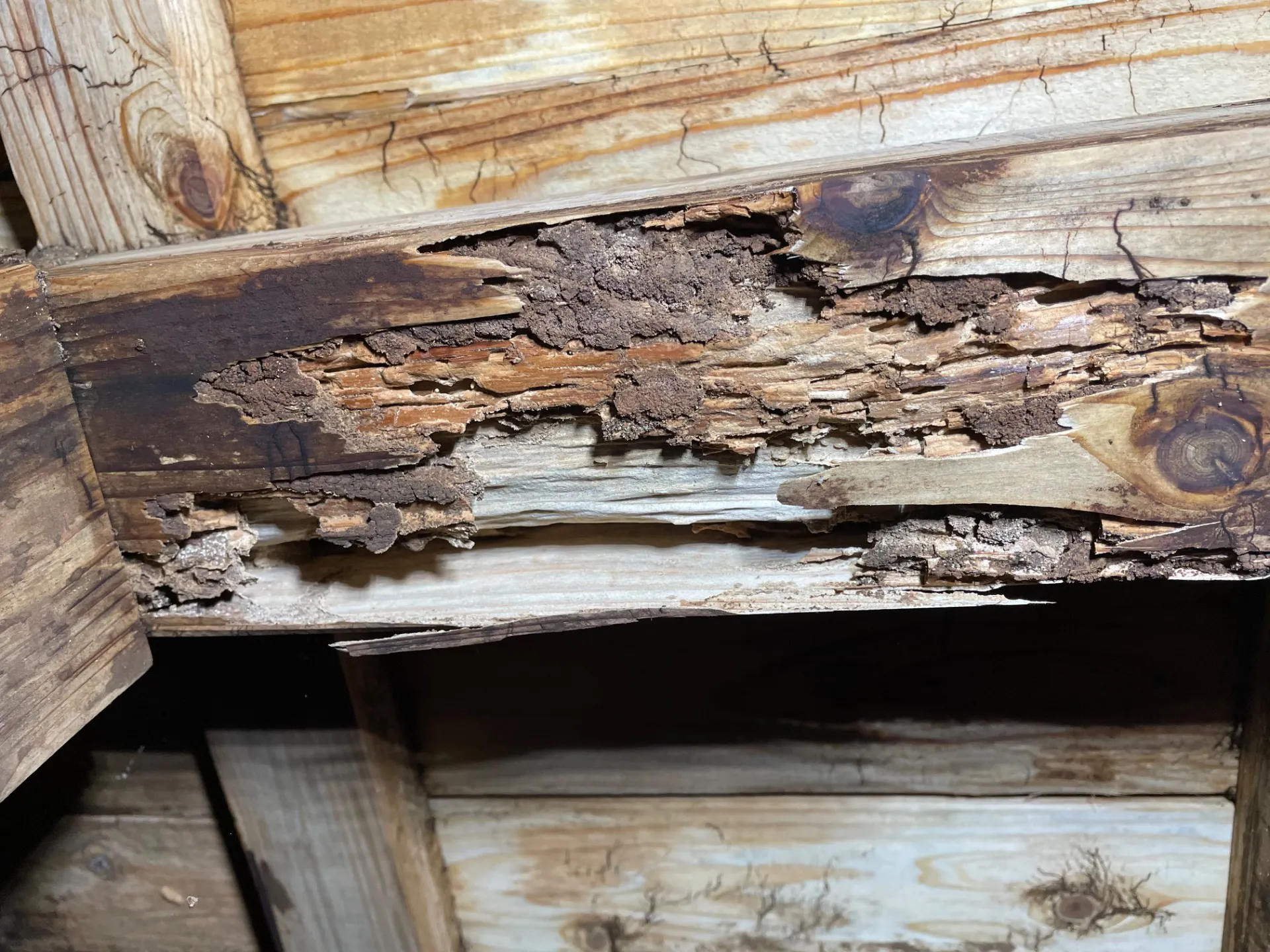 【福岡県古賀市】お座敷床下工事